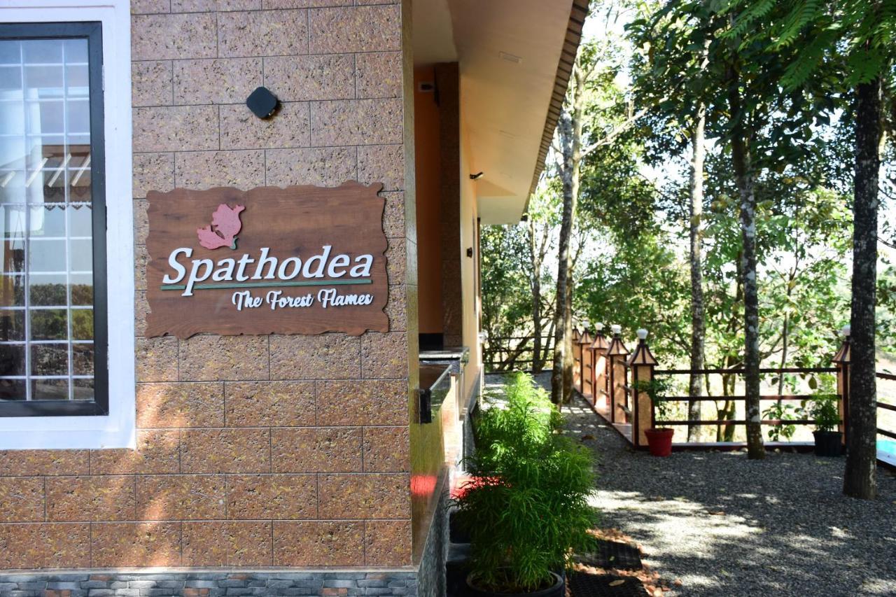 Spathodea Vagamon Esterno foto
