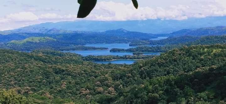 Spathodea Vagamon Esterno foto