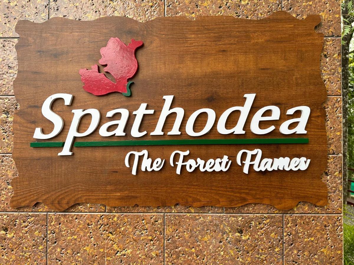 Spathodea Vagamon Esterno foto