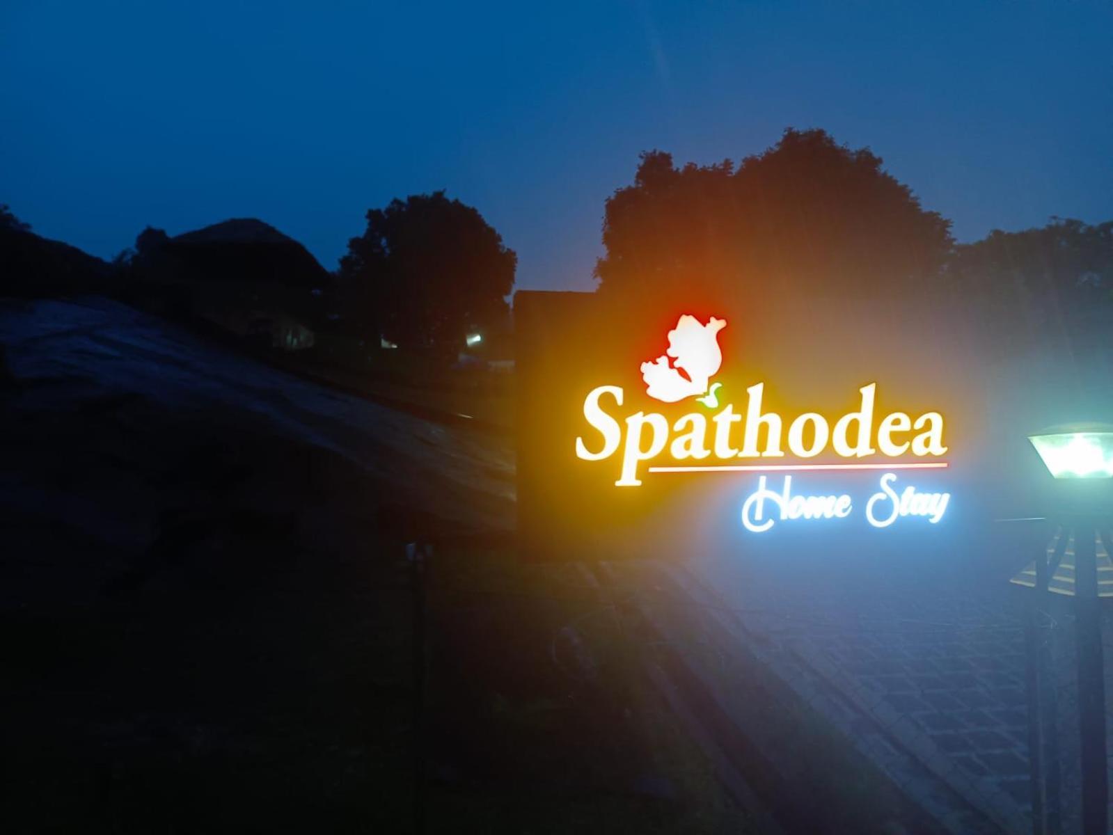 Spathodea Vagamon Esterno foto